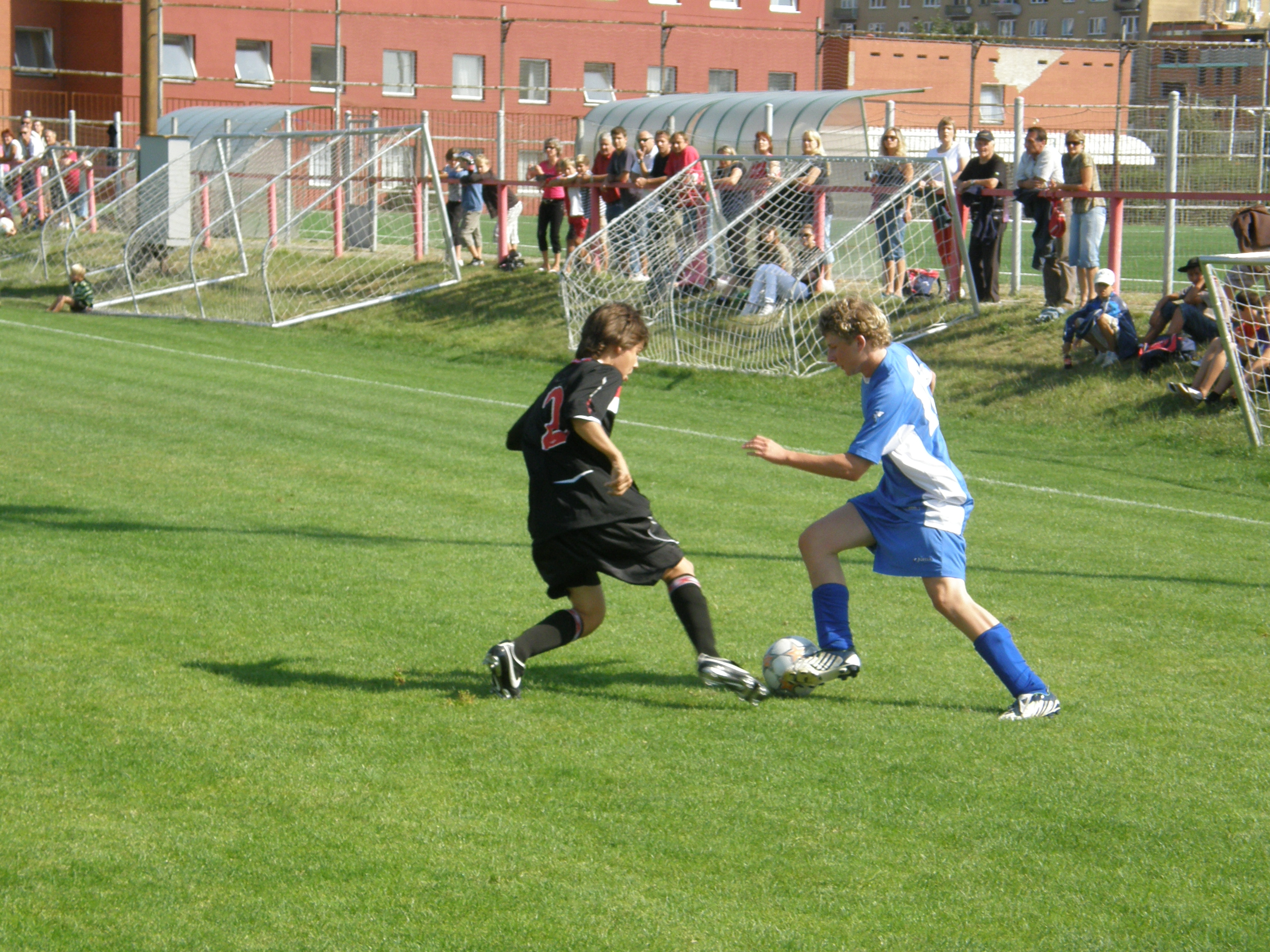 P8230200.JPG
