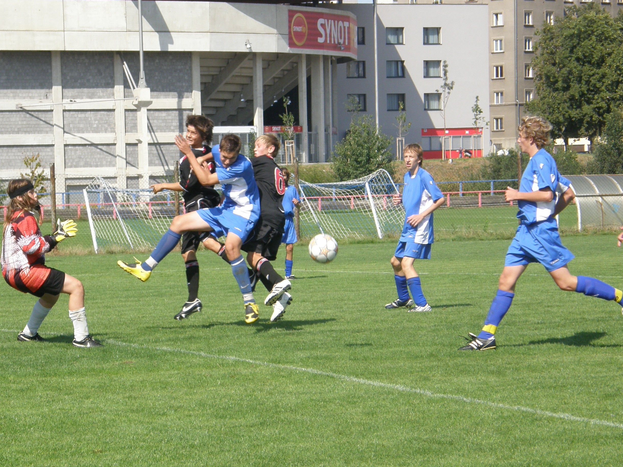 P8230204.JPG